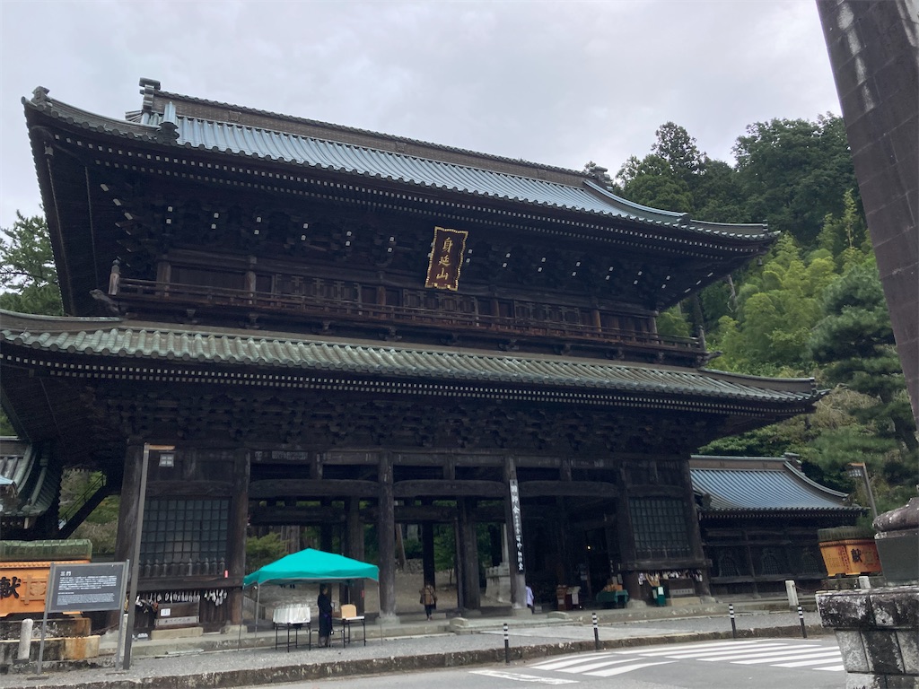 f:id:makinonigiri:20241108123024j:image f:id:makinonigiri:20241108123024j:image