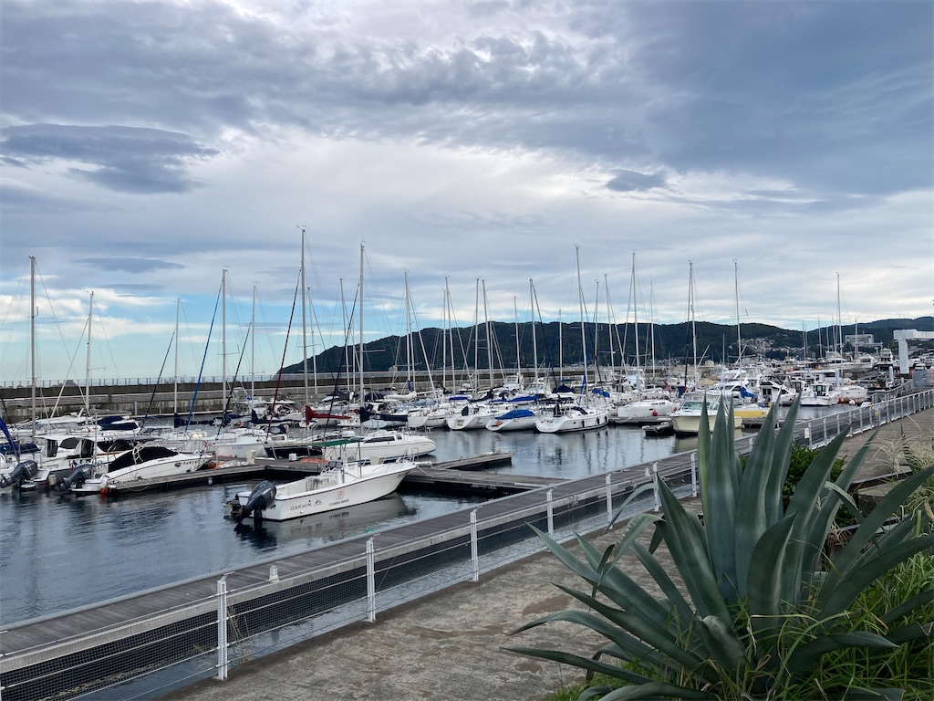 f:id:makinonigiri:20241108123208j:image f:id:makinonigiri:20241108123208j:image