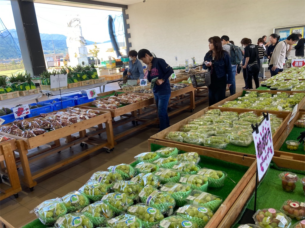 f:id:makinonigiri:20241108123237j:image f:id:makinonigiri:20241108123237j:image