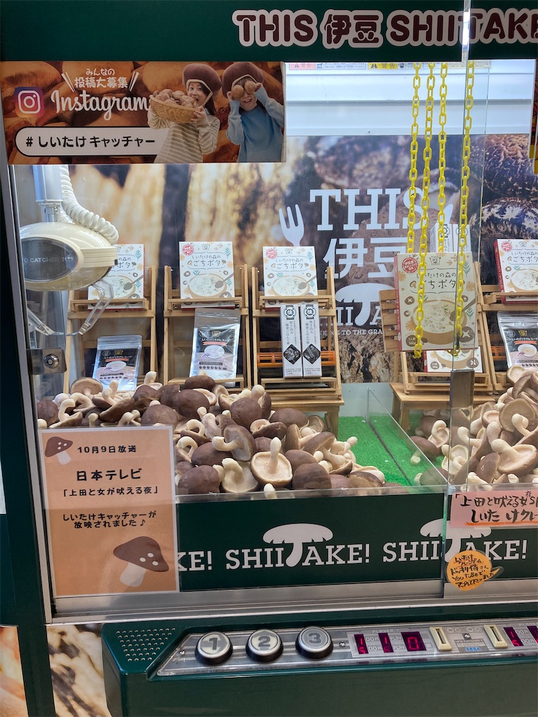 f:id:makinonigiri:20241108123305j:image f:id:makinonigiri:20241108123305j:image