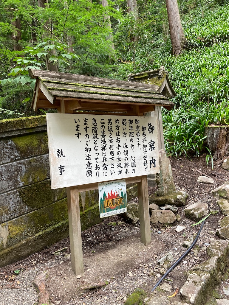 f:id:makinonigiri:20241108123329j:image f:id:makinonigiri:20241108123329j:image