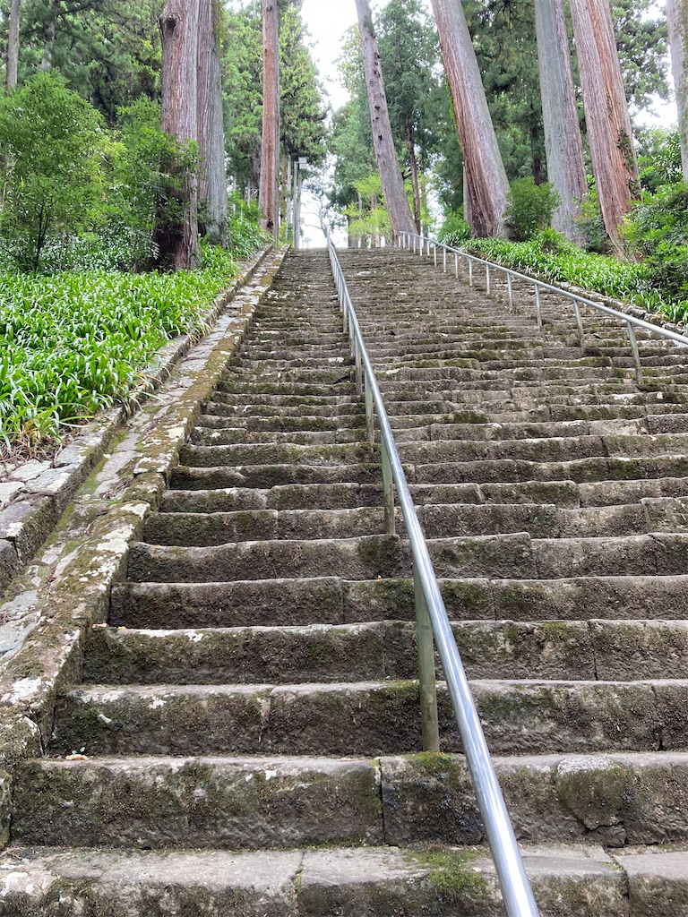 f:id:makinonigiri:20241108123338j:image f:id:makinonigiri:20241108123338j:image