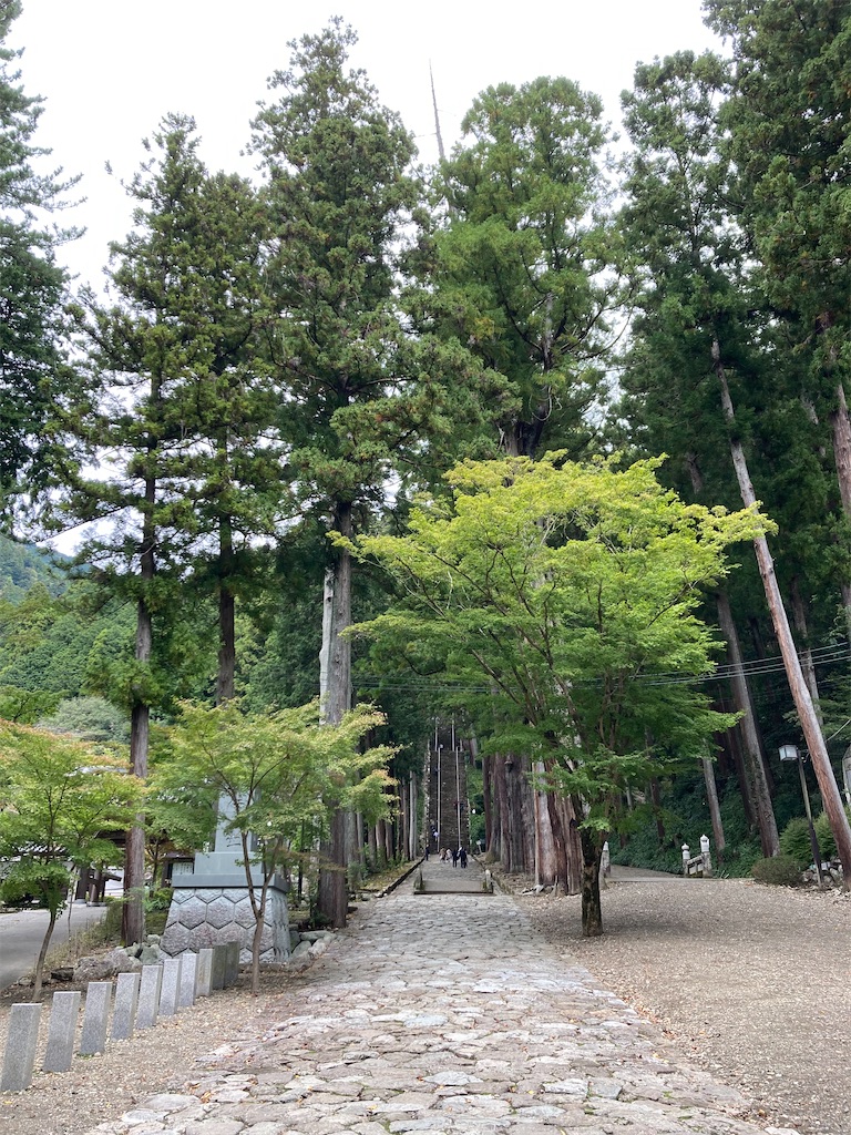 f:id:makinonigiri:20241108123342j:image f:id:makinonigiri:20241108123342j:image