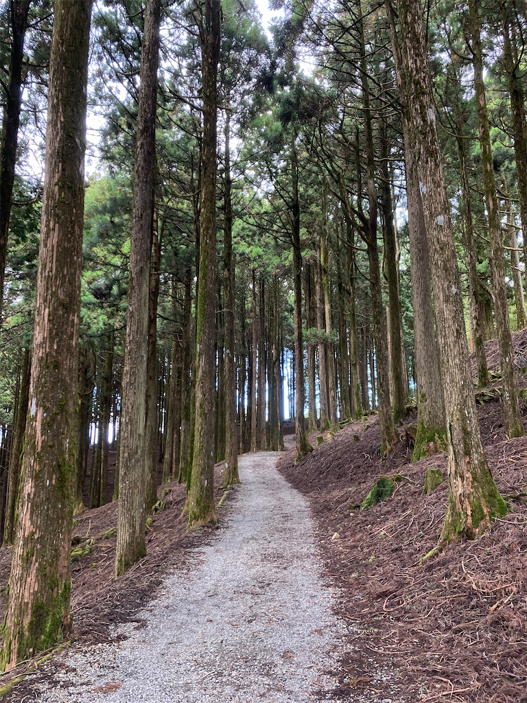 f:id:makinonigiri:20241108123558j:image f:id:makinonigiri:20241108123558j:image