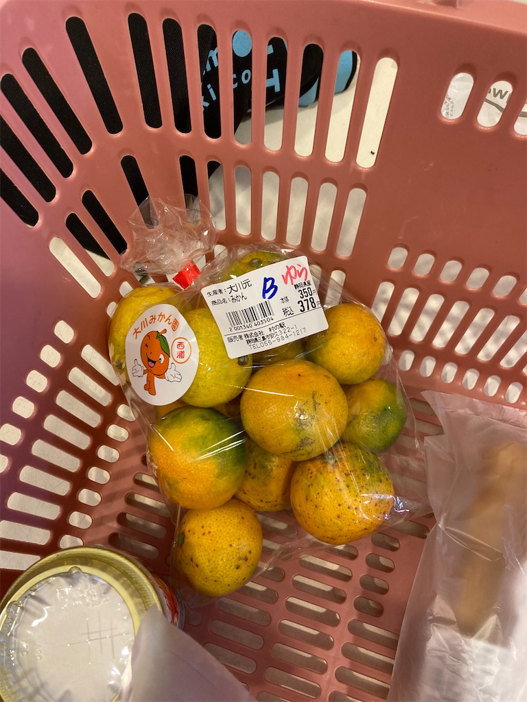 f:id:makinonigiri:20241108123628j:image f:id:makinonigiri:20241108123628j:image