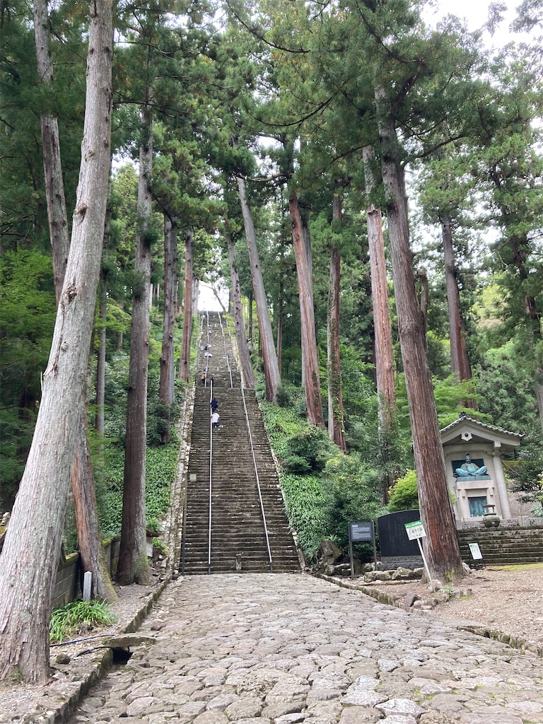 f:id:makinonigiri:20241108123633j:image f:id:makinonigiri:20241108123633j:image