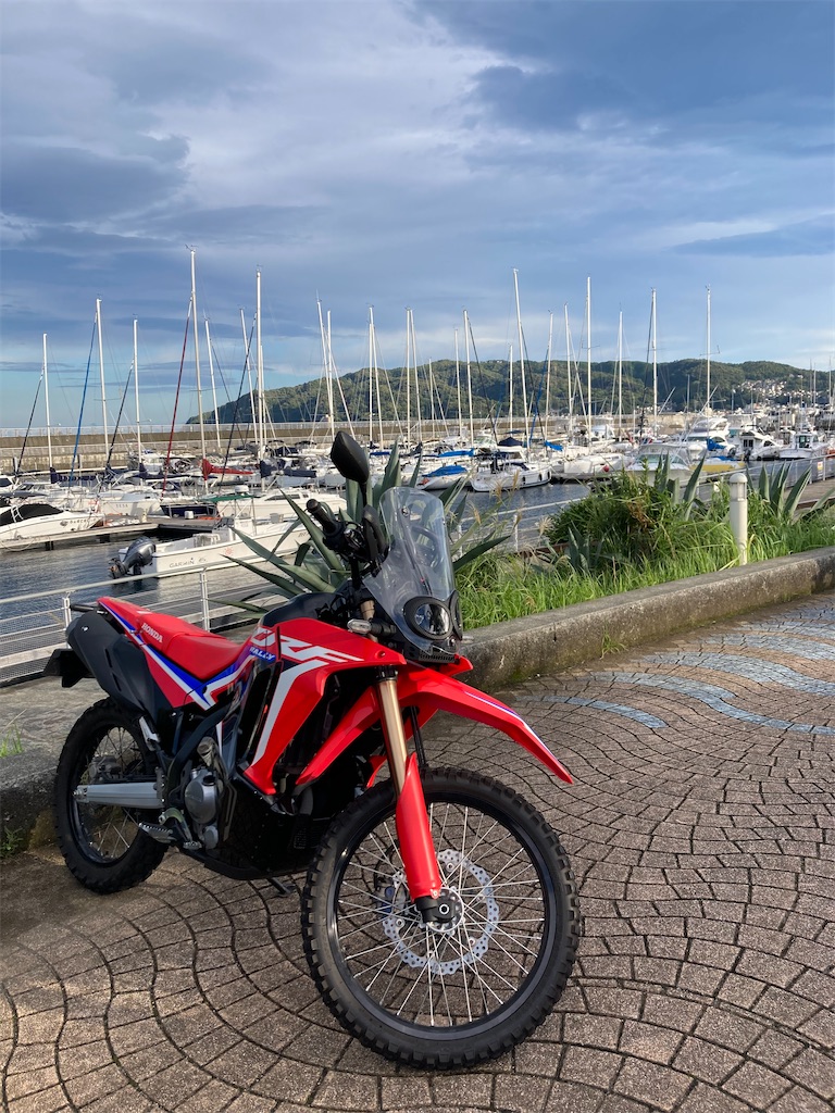 f:id:makinonigiri:20241108123642j:image f:id:makinonigiri:20241108123642j:image