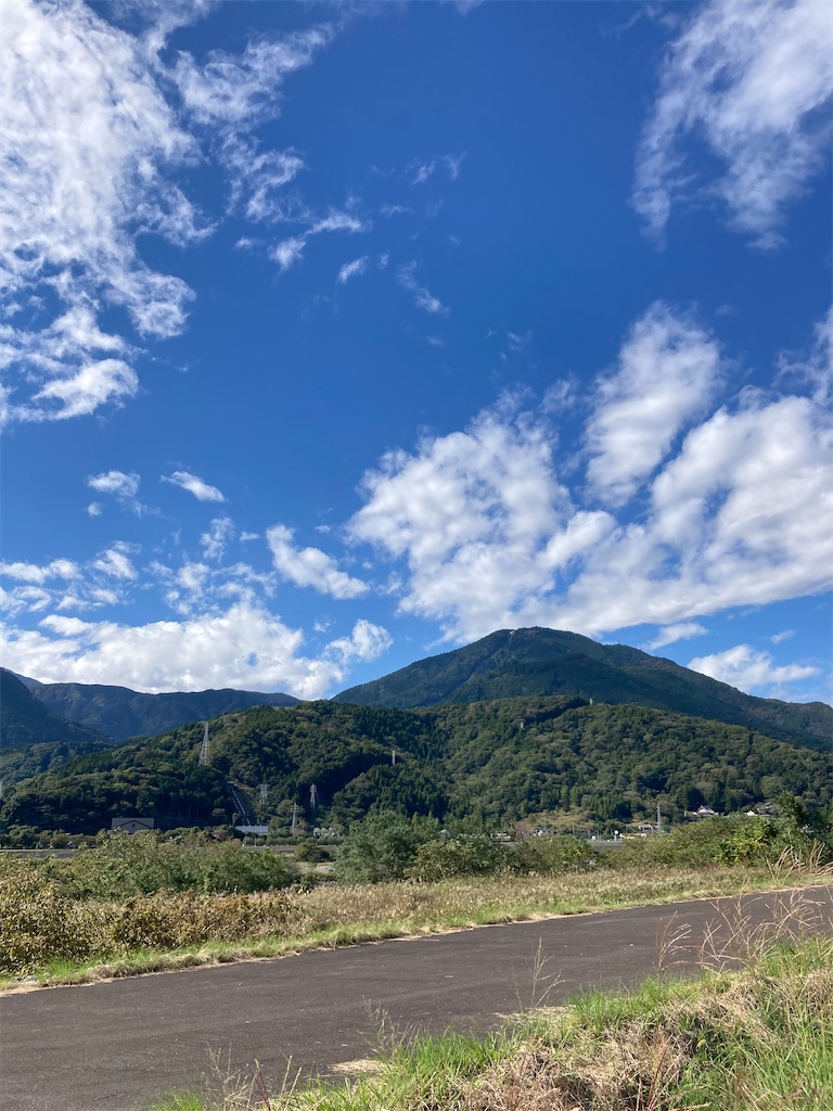 f:id:makinonigiri:20241108123711j:image f:id:makinonigiri:20241108123711j:image