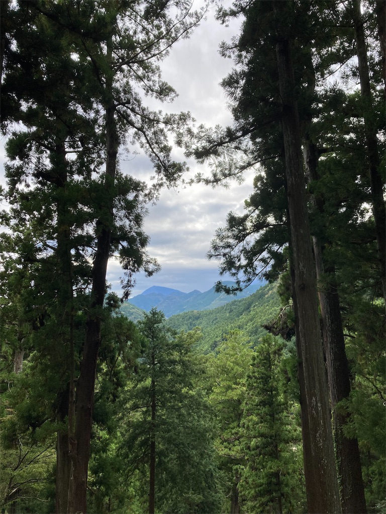 f:id:makinonigiri:20241108123724j:image f:id:makinonigiri:20241108123724j:image