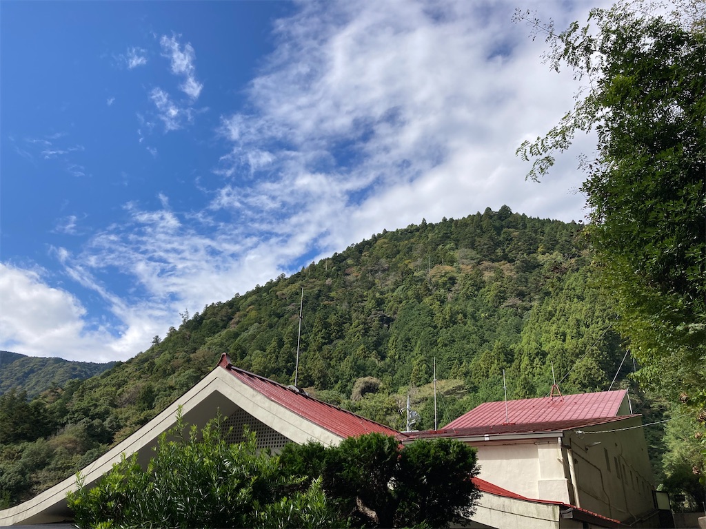 f:id:makinonigiri:20241108123731j:image f:id:makinonigiri:20241108123731j:image