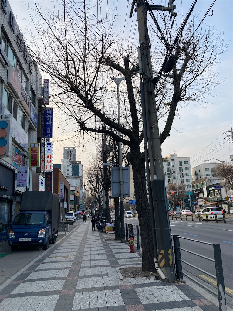 f:id:makinonigiri:20260108121802j:image