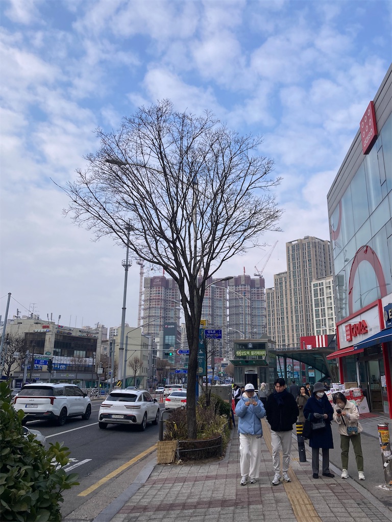 f:id:makinonigiri:20260518114949j:image