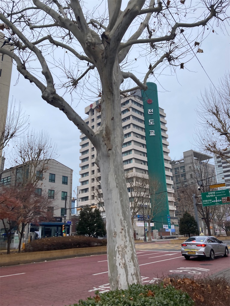 f:id:makinonigiri:20260518114958j:image