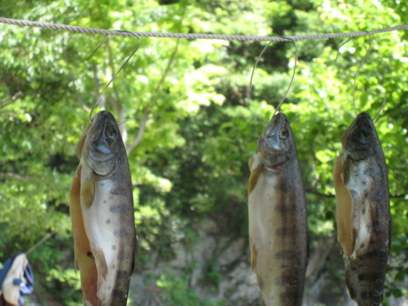 f:id:makinoranmaru:20090521115037j:image f:id:makinoranmaru:20090521115037j:image