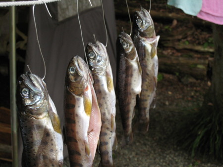 f:id:makinoranmaru:20090725142243j:image f:id:makinoranmaru:20090725142243j:image