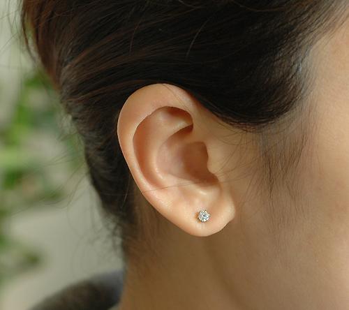 f:id:makisakouonuma:20200415161202j:plain