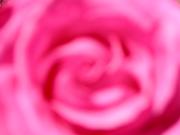 20040424205043