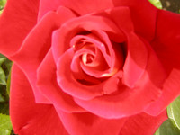 20040503211325