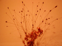 20040915225614