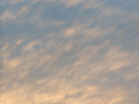 20041016201429