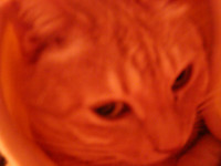 20041016201455