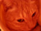 20041016201455