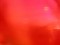 20041016201514