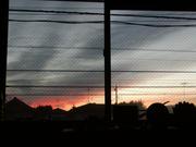 20041113131539