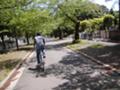 サイクリング