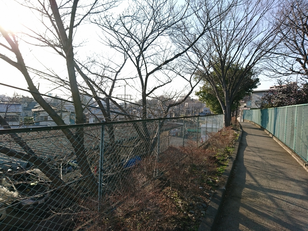 f:id:makisutobu-222:20180304192901j:plain f:id:makisutobu-222:20180304192901j:plain