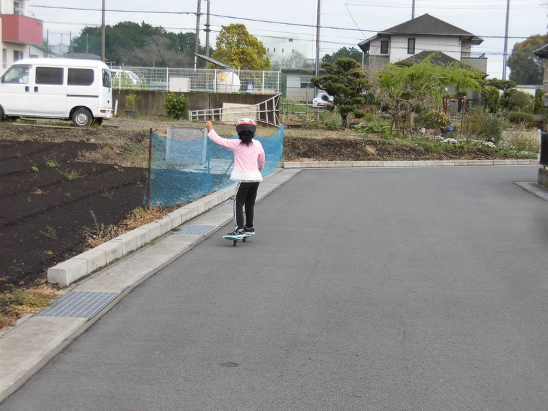 f:id:makisutoubutanosimu:20200329145650j:plain f:id:makisutoubutanosimu:20200329145650j:plain