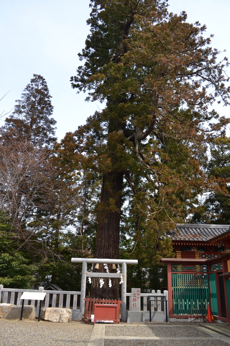 f:id:makki-40:20190331000139j:plain f:id:makki-40:20190331000139j:plain