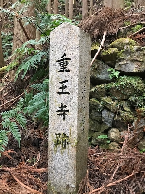 f:id:makko0125:20191219214621j:plain