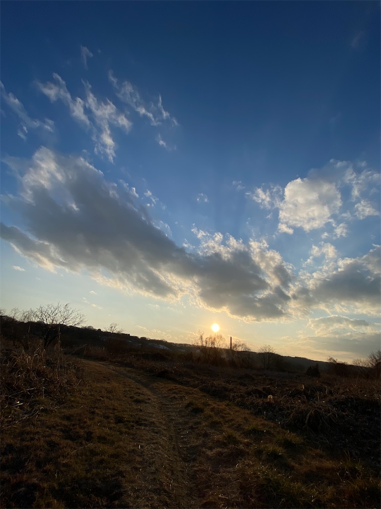 f:id:makko_fractus:20240222074114j:image