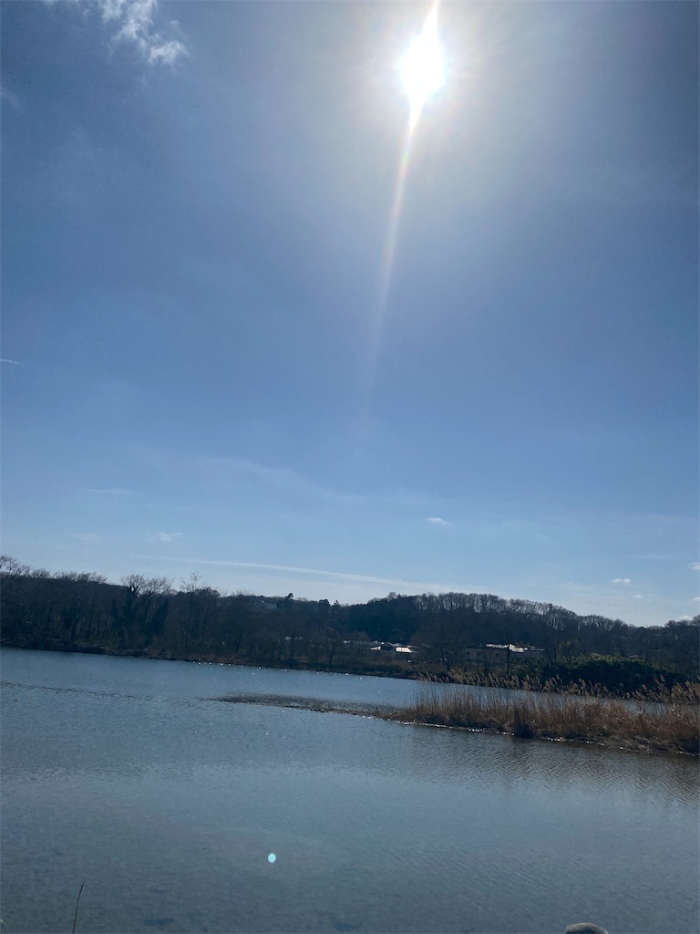 f:id:makko_fractus:20240226074130j:image