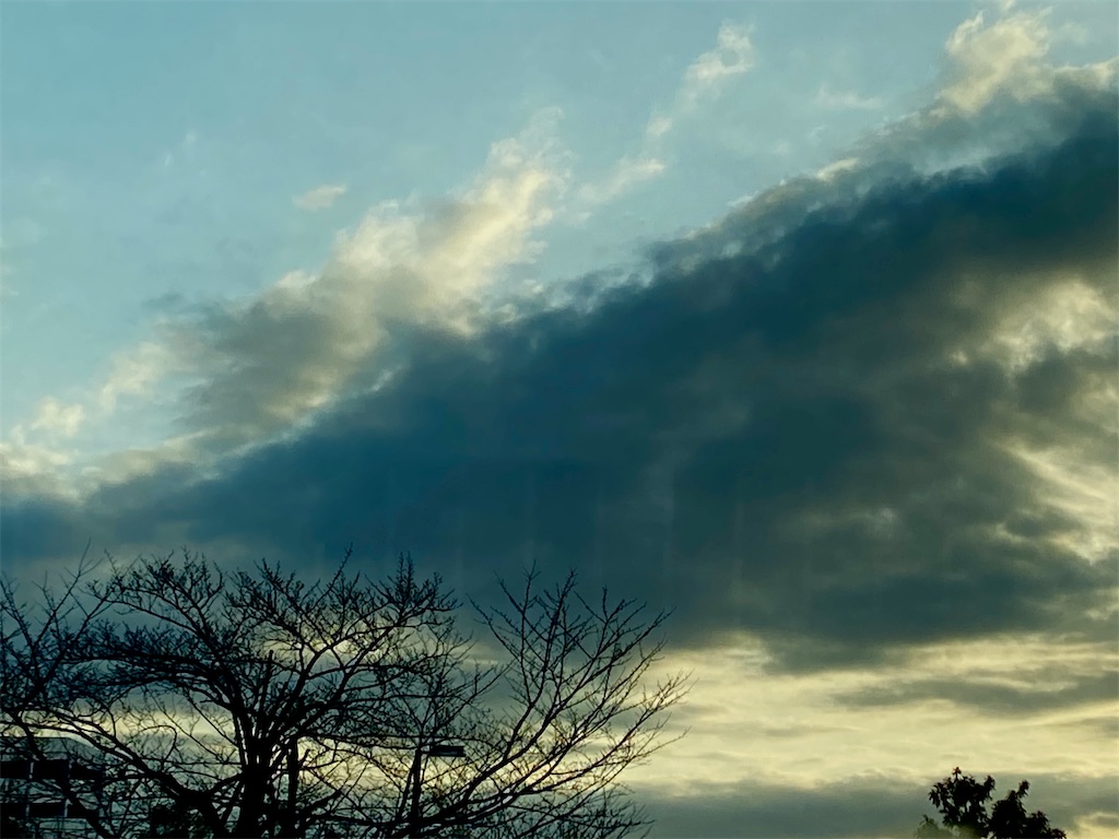 f:id:makko_fractus:20240229074001j:image