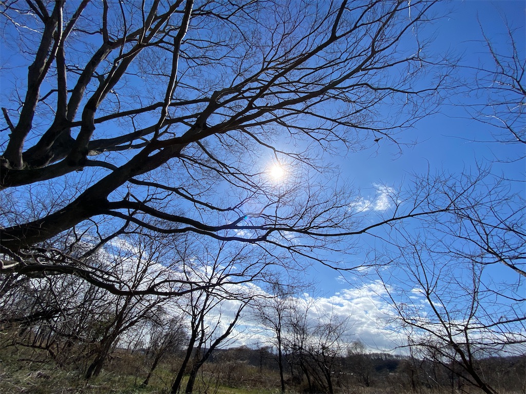 f:id:makko_fractus:20240307074109j:image