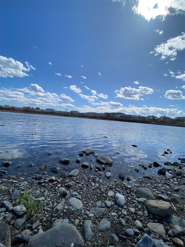 f:id:makko_fractus:20240311073806j:image