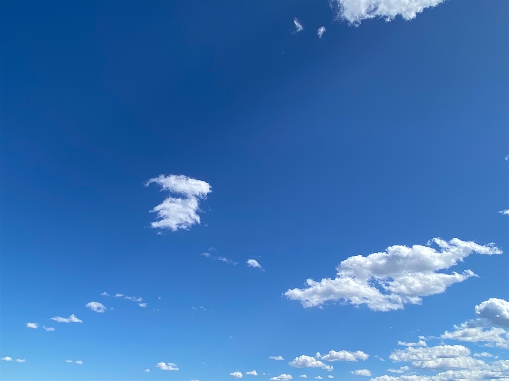 f:id:makko_fractus:20240312073953j:image