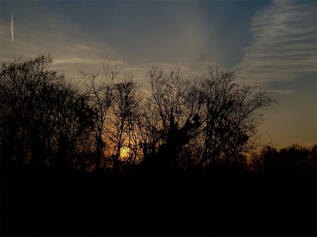 f:id:makko_fractus:20240411072952j:image