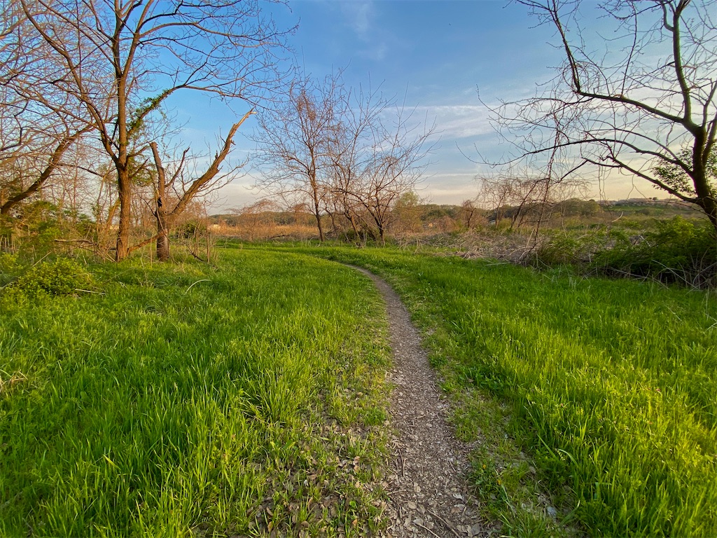 f:id:makko_fractus:20240412074130j:image