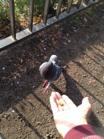 f:id:makkoh-oyaji:20130406151720j:image