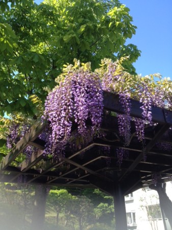 f:id:makkoh-oyaji:20130428161029j:image