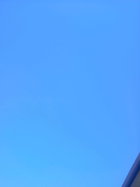 f:id:makkosan70:20201109104615j:plain f:id:makkosan70:20201109104615j:plain
