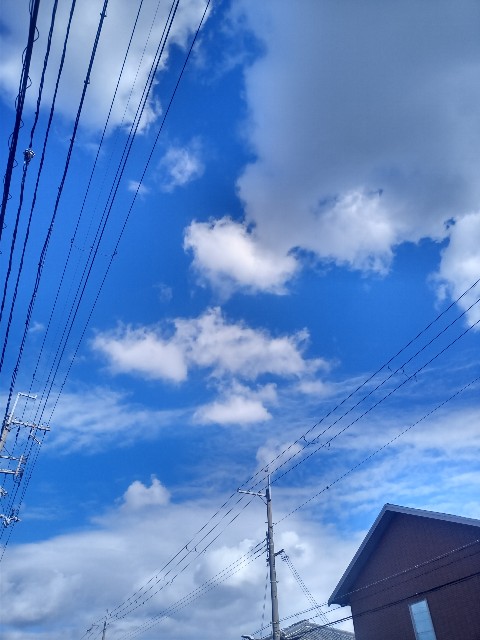 f:id:makkosan70:20201109132458j:plain f:id:makkosan70:20201109132458j:plain