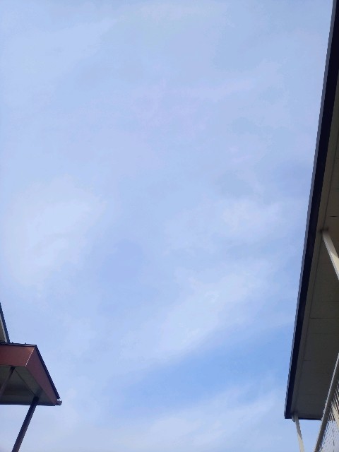 f:id:makkosan70:20201213101326j:plain