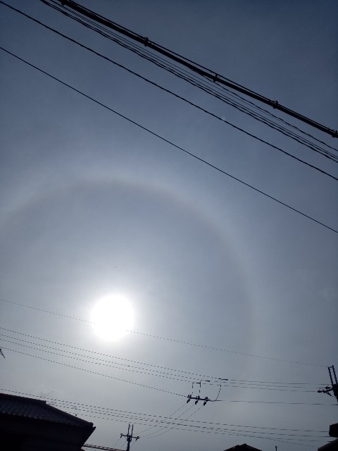 f:id:makkosan70:20201213101339j:plain