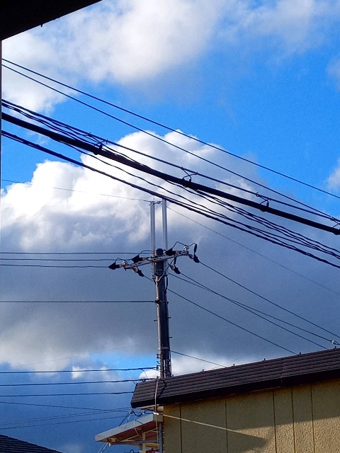 f:id:makkosan70:20201231102359j:plain