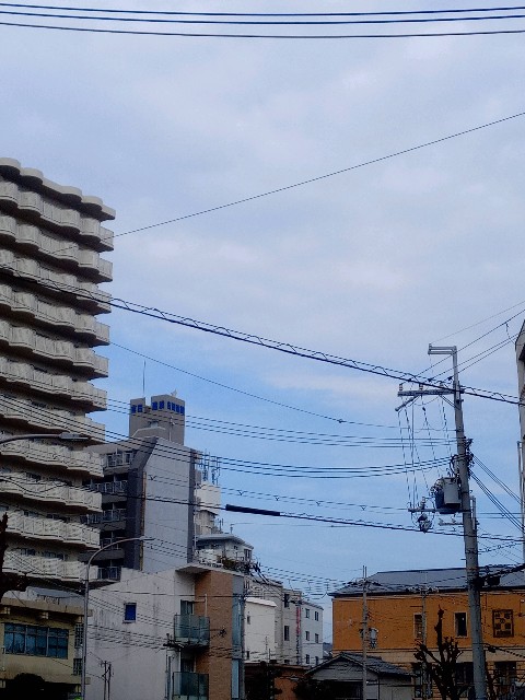 f:id:makkosan70:20210105134130j:plain