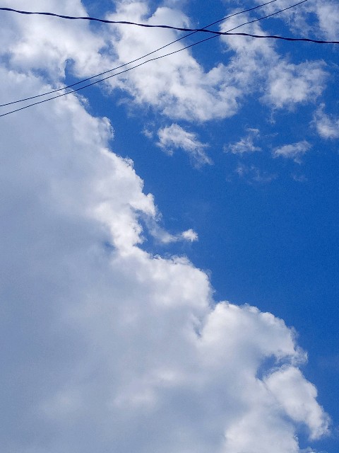 f:id:makkosan70:20210105134203j:plain